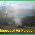 Impact of air pollution on education