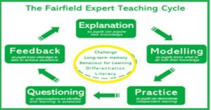 An Expert teacher