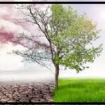 Climate resilience