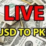 Dollar Vs PKR, the relationship between the United States Dollar (USD) and the Pakistani Rupee (PKR) holds immense significance in the global economic landscape, particularly for Pakistan.