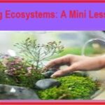 Exploring Ecosystems: A Mini Lesson Plan