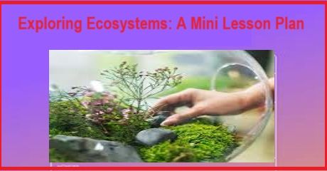 Exploring Ecosystems: A Mini Lesson Plan