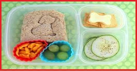 Impact of Lunch Box for Early Childhood Development (ECD)