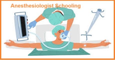 Anesthesiologist Schooling