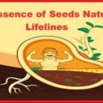 The Essence of Seeds Nature's Lifelines