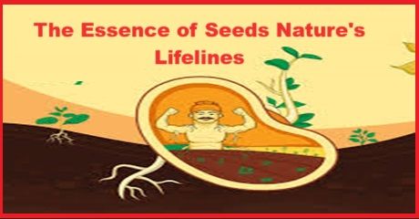 The Essence of Seeds Nature's Lifelines