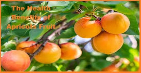 The Health Benefits of Apricots Fruit