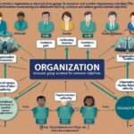 An Organization