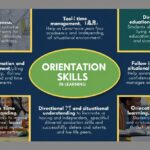 Orientation Skills in Learning