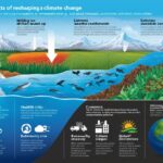 The Far-Reaching Effects of Climate Change