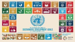 Sustainable Development Goals (SDGs)