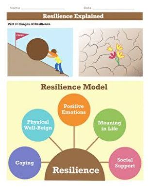 Education Support for Resilience in Lives